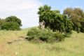 Cortijo_20_5_2011_03.jpg