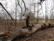 Název souboru=DSC03112.JPG
Velikost souboru=469KB
Rozměry=1000x750
Datum přidání=16.04.2018 DSC03112.JPG