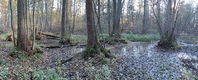 Název souboru=Dedina_8_11_2024_40.jpg
Velikost souboru=1049KB
Rozměry=1671x675
Datum přidání=14.11.2024 Dedina_8_11_2024_40.jpg