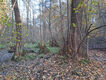 Název souboru=Dedina_8_11_2024_41.jpg
Velikost souboru=1099KB
Rozměry=1200x900
Datum přidání=14.11.2024 Dedina_8_11_2024_41.jpg