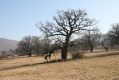 Název souboru=Gavurky_14_3_2014_08.jpg
Velikost souboru=539KB
Rozměry=1024x683
Datum přidání=02.02.2017 Gavurky_14_3_2014_08.jpg