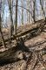 Název souboru=Herlany_29_3_2014_148.jpg
Velikost souboru=419KB
Rozměry=600x900
Datum přidání=14.02.2015 Herlany_29_3_2014_148.jpg
