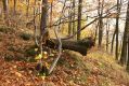 Hranice_27_10_2008_06.jpg