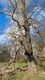 Název souboru=Hrozna_7_11_2023_10.jpg
Velikost souboru=662KB
Rozměry=576x1024
Datum přidání=14.03.2024 Hrozna_7_11_2023_10.jpg