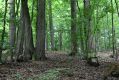 Název souboru=Jasov_24_6_2011_08.jpg
Velikost souboru=465KB
Rozměry=1024x683
Datum přidání=22.04.2017 Jasov_24_6_2011_08.jpg
