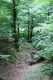 Název souboru=Jasov_24_6_2011_11.jpg
Velikost souboru=549KB
Rozměry=600x900
Datum přidání=22.04.2017 Jasov_24_6_2011_11.jpg