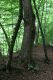 Název souboru=Jasov_24_6_2011_12.jpg
Velikost souboru=477KB
Rozměry=600x900
Datum přidání=22.04.2017 Jasov_24_6_2011_12.jpg