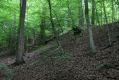 Název souboru=Jasov_24_6_2011_13.jpg
Velikost souboru=466KB
Rozměry=1024x683
Datum přidání=22.04.2017 Jasov_24_6_2011_13.jpg