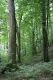 Název souboru=Jasov_24_6_2011_18.jpg
Velikost souboru=548KB
Rozměry=600x900
Datum přidání=22.04.2017 Jasov_24_6_2011_18.jpg