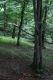 Název souboru=Jasov_24_6_2011_20.jpg
Velikost souboru=531KB
Rozměry=600x900
Datum přidání=22.04.2017 Jasov_24_6_2011_20.jpg
