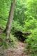 Název souboru=Jasov_24_6_2011_22.jpg
Velikost souboru=574KB
Rozměry=600x900
Datum přidání=22.04.2017 Jasov_24_6_2011_22.jpg