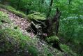 Název souboru=Jasov_24_6_2011_29.jpg
Velikost souboru=528KB
Rozměry=1024x683
Datum přidání=22.04.2017 Jasov_24_6_2011_29.jpg