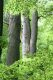 Název souboru=Jasov_24_6_2011_32.jpg
Velikost souboru=573KB
Rozměry=600x900
Datum přidání=22.04.2017 Jasov_24_6_2011_32.jpg