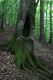 Název souboru=Jasov_24_6_2011_34.jpg
Velikost souboru=501KB
Rozměry=600x900
Datum přidání=22.04.2017 Jasov_24_6_2011_34.jpg