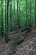 Název souboru=Jasov_24_6_2011_35.jpg
Velikost souboru=595KB
Rozměry=600x900
Datum přidání=22.04.2017 Jasov_24_6_2011_35.jpg