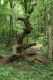 Název souboru=Jasov_24_6_2011_37.jpg
Velikost souboru=487KB
Rozměry=600x900
Datum přidání=22.04.2017 Jasov_24_6_2011_37.jpg