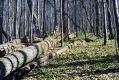 Filename=Kasivarova_31_3_2002_14.jpg
Filesize=577KiB
Dimensions=1024x683
Date added=Feb 16, 2017 Kasivarova_31_3_2002_14.jpg