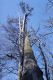 Filename=Kasivarova_31_3_2002_15.jpg
Filesize=531KiB
Dimensions=600x900
Date added=Feb 16, 2017 Kasivarova_31_3_2002_15.jpg