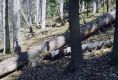 Filename=Kasivarova_31_3_2002_25.jpg
Filesize=458KiB
Dimensions=1024x690
Date added=Feb 16, 2017 Kasivarova_31_3_2002_25.jpg