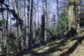 Filename=Kasivarova_31_3_2002_26.jpg
Filesize=510KiB
Dimensions=1024x683
Date added=Feb 16, 2017 Kasivarova_31_3_2002_26.jpg
