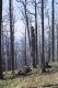 Filename=Kasivarova_31_3_2002_32.jpg
Filesize=513KiB
Dimensions=600x900
Date added=Feb 16, 2017 Kasivarova_31_3_2002_32.jpg
