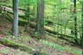 Filename=Kasivarova_8_10_2005_04.jpg
Filesize=600KiB
Dimensions=1024x683
Date added=Feb 16, 2017 Kasivarova_8_10_2005_04.jpg