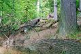 Filename=Kasivarova_8_10_2005_06.jpg
Filesize=538KiB
Dimensions=1024x683
Date added=Feb 16, 2017 Kasivarova_8_10_2005_06.jpg
