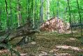 Filename=Kasivarova_8_10_2005_07.jpg
Filesize=574KiB
Dimensions=1024x683
Date added=Feb 16, 2017 Kasivarova_8_10_2005_07.jpg