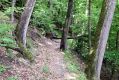 Název souboru=Kosice_24_6_2011_06.jpg
Velikost souboru=528KB
Rozměry=1024x683
Datum přidání=22.04.2017 Kosice_24_6_2011_06.jpg