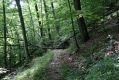 Název souboru=Kosice_24_6_2011_08.jpg
Velikost souboru=579KB
Rozměry=1024x683
Datum přidání=22.04.2017 Kosice_24_6_2011_08.jpg