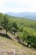 Kozlica_21_5_2016_14.jpg