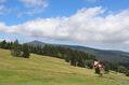 Krkonose_29_8_2022_09.jpg