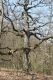 Název souboru=Krupina_10_4_2015_06.jpg
Velikost souboru=492KB
Rozměry=600x900
Datum přidání=01.05.2015 Krupina_10_4_2015_06.jpg
