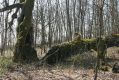 Název souboru=Krupina_10_4_2015_15.jpg
Velikost souboru=518KB
Rozměry=1024x683
Datum přidání=01.05.2015 Krupina_10_4_2015_15.jpg