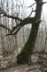 Název souboru=Krupina_10_4_2015_24.jpg
Velikost souboru=420KB
Rozměry=600x900
Datum přidání=01.05.2015 Krupina_10_4_2015_24.jpg