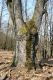 Název souboru=Krupina_10_4_2015_35.jpg
Velikost souboru=428KB
Rozměry=600x900
Datum přidání=01.05.2015 Krupina_10_4_2015_35.jpg