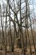 Název souboru=Krupina_10_4_2015_37.jpg
Velikost souboru=536KB
Rozměry=600x900
Datum přidání=01.05.2015 Krupina_10_4_2015_37.jpg