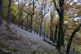 Název souboru=Krupina_21_10_2002_07.jpg
Velikost souboru=566KB
Rozměry=1024x683
Datum přidání=07.02.2017 Krupina_21_10_2002_07.jpg
