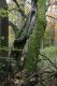 Název souboru=Kulhan_24_10_2010_04.jpg
Velikost souboru=502KB
Rozměry=600x900
Datum přidání=07.03.2018 Kulhan_24_10_2010_04.jpg