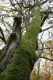 Název souboru=Kulhan_24_10_2010_05.jpg
Velikost souboru=502KB
Rozměry=600x900
Datum přidání=07.03.2018 Kulhan_24_10_2010_05.jpg