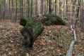 Název souboru=Kulhan_24_10_2010_18.jpg
Velikost souboru=536KB
Rozměry=1024x683
Datum přidání=07.03.2018 Kulhan_24_10_2010_18.jpg