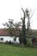Název souboru=Kulhan_24_10_2010_32.jpg
Velikost souboru=452KB
Rozměry=600x900
Datum přidání=07.03.2018 Kulhan_24_10_2010_32.jpg