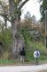Kulhan_24_10_2010_36.jpg