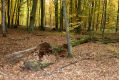 Název souboru=Kulhan_30_10_2011_13.jpg
Velikost souboru=563KB
Rozměry=1024x683
Datum přidání=07.03.2018 Kulhan_30_10_2011_13.jpg
