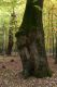 Název souboru=Kulhan_30_10_2011_20.jpg
Velikost souboru=508KB
Rozměry=600x900
Datum přidání=07.03.2018 Kulhan_30_10_2011_20.jpg
