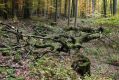 Název souboru=Kulhan_30_10_2011_27.jpg
Velikost souboru=556KB
Rozměry=1024x683
Datum přidání=07.03.2018 Kulhan_30_10_2011_27.jpg