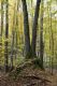 Název souboru=Kulhan_30_10_2011_29.jpg
Velikost souboru=575KB
Rozměry=600x900
Datum přidání=07.03.2018 Kulhan_30_10_2011_29.jpg