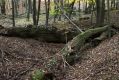 Název souboru=Kulhan_30_10_2011_32.jpg
Velikost souboru=550KB
Rozměry=1024x683
Datum přidání=07.03.2018 Kulhan_30_10_2011_32.jpg
