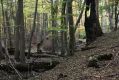 Název souboru=Kulhan_30_10_2011_37.jpg
Velikost souboru=479KB
Rozměry=1024x683
Datum přidání=07.03.2018 Kulhan_30_10_2011_37.jpg