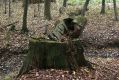 Název souboru=Kulhan_30_10_2011_38.jpg
Velikost souboru=510KB
Rozměry=1024x683
Datum přidání=07.03.2018 Kulhan_30_10_2011_38.jpg